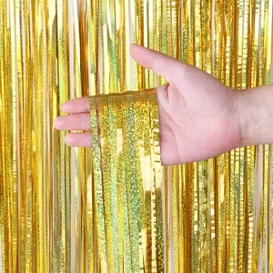 Metallic Fringe Door Curtain
